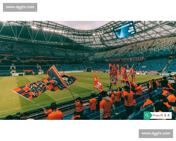 从购票到观赛全攻略解析足球比赛门票价值与体验升级提升球迷幸福感